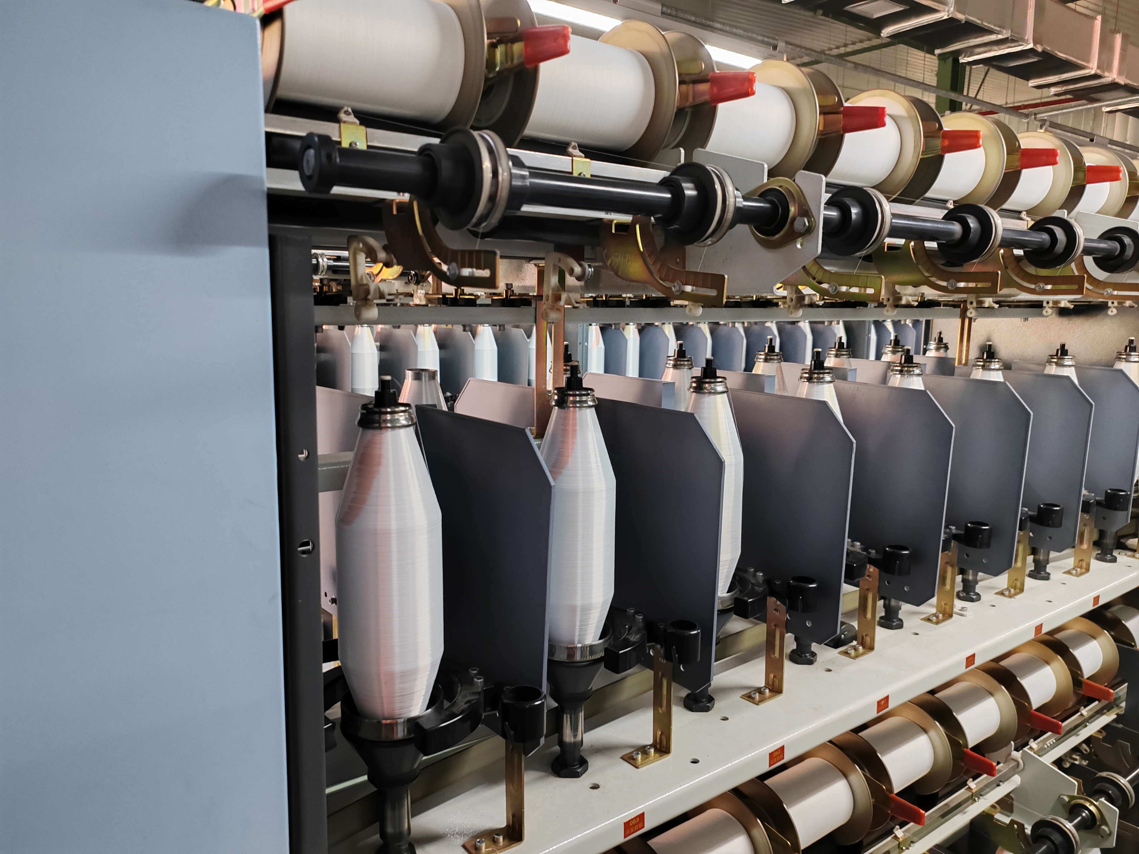 الصورة_20230807170442